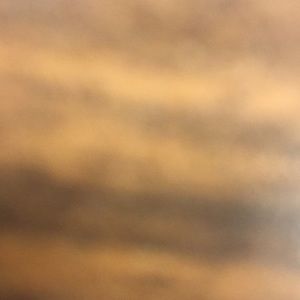 Meet your Posher, Braidon